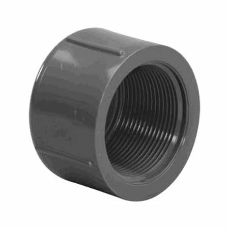.25" FPT CAP