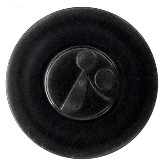 POLARIS BLACK HUB CAP