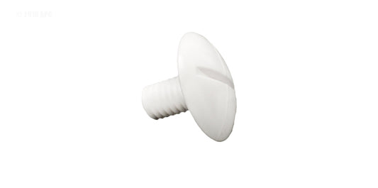POLARIS WHEEL SCREW