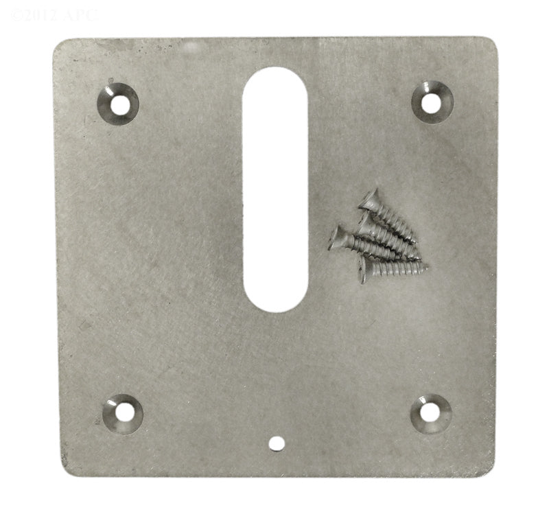 BRASS MINI JET COVER PLATE W/ SCREWS