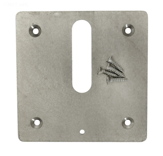 BRASS MINI JET COVER PLATE W/ SCREWS