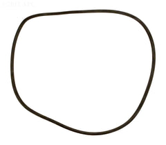 FILTER TANK O-RING CL/DEL