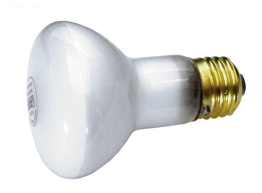LAMP 100W 120V SPA