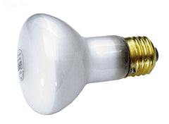 LAMP 100W 120V SPA