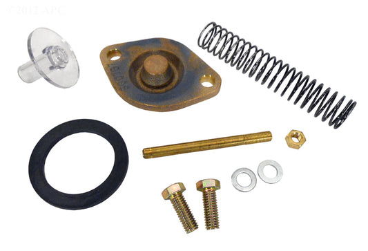 LAARS 400 BRNZ. FLOW ASSY
