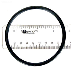 Main O-Ring