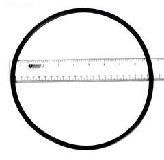 O-RING, NICHE TO SPA