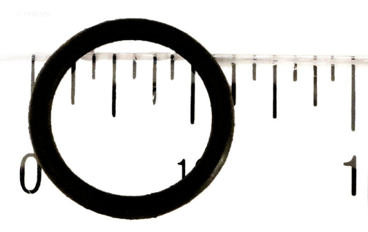 PLUG O-RING RAINBOW