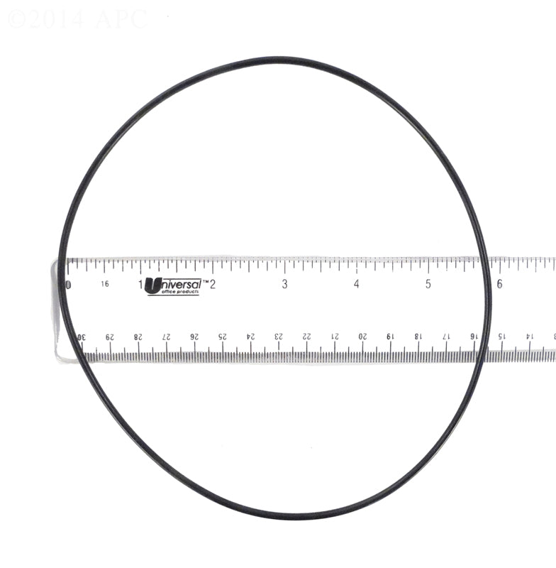 PUMP BODY O RING