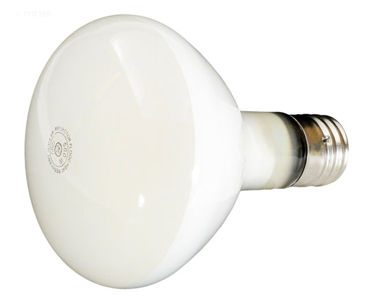 500W,110V, R40 LITE BULB