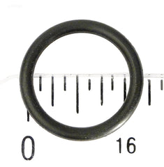 O-RING, DRAIN PLUG