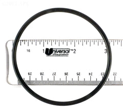 O-RING INGROUND FILTER HANDLE