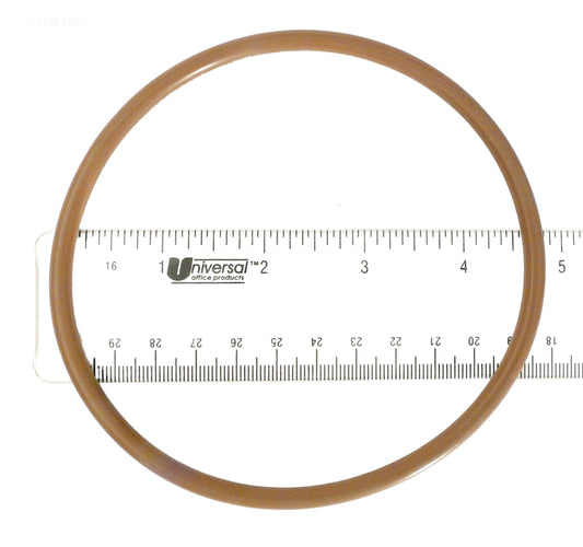 CHLORINATOR O-RING