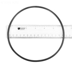O-RING, FILTER LID