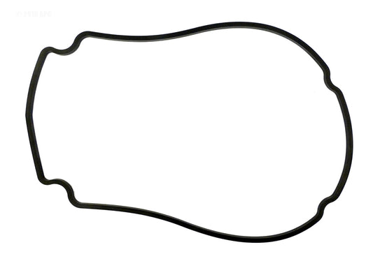 GASKET FACEPLATE WW CHAMPION
